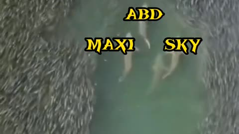 Abd , maxi , sky = 360° #cricket #short #virat #kohli #viratkohli #sky #maxi #abd #surya #maxwell