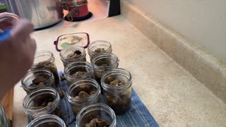 Canning Beef Tips in Sauce with onion and mushrooms!