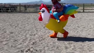 Barrel Racing Chicken