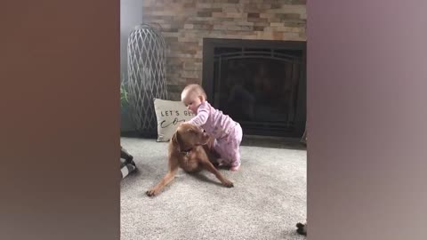 Cute Babies Playing With Dogs