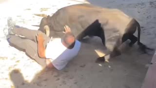 Messed with bull and got violated by the horns