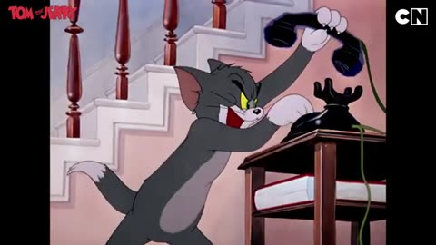 Tom and Jerry Frenemies Forever - 8 | Tom and Jerry Cartoon | only on Cartoon Network India