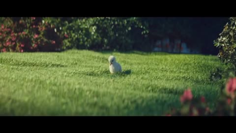 he Little Duck - Disneyland Paris commercial_Cut