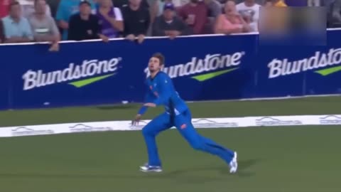 Best catches in the cricket
