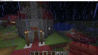 Minecraft Village Builds