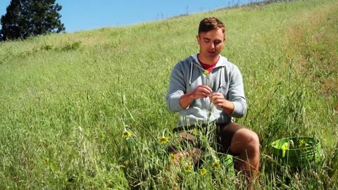 Common Weeds and Wild Edibles of the World (Documentary)