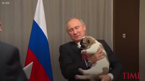 Here's the Awkward moment when Vladimir Putin got A puppy As A Gift... !!!