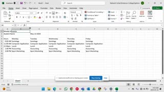 ITC - Excel _ Chapter 01 - Review 01