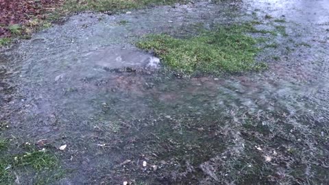 Roaring Creek at the Henry Hollow