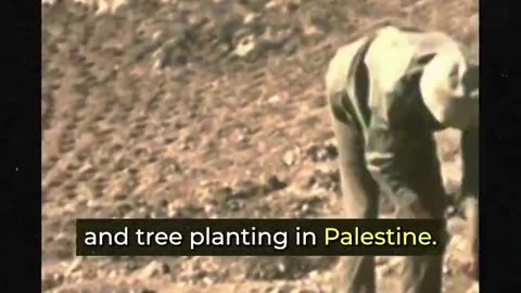 ?? ISRAEL USING TREES TO ETHNICALLY CLEANSE PALESTINIANS