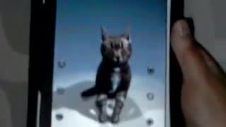World's Rudest Cat! (18+)