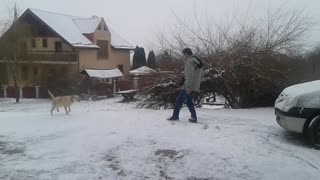 Dog enjoys first snow