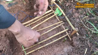 Amazing Quick Rabbit Trap in Cambodia - How To Make Rabbit Trap Easy - Best Rabbit Trap Homemade