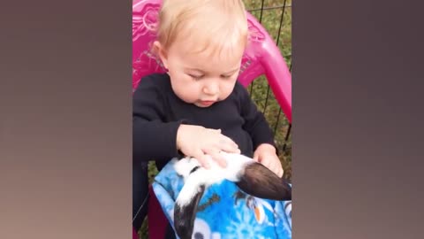Fun With Babies Playing With Animals, Videos Of Babies And Animals