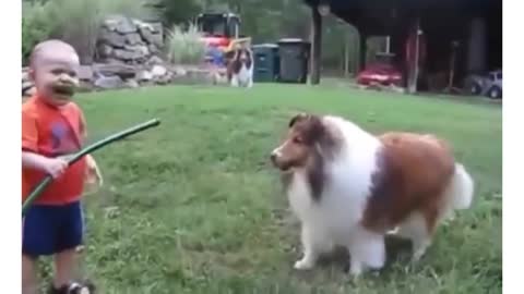 Baby and Dog's cute fight