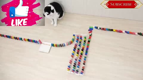 Cute kitten playing with dominoes