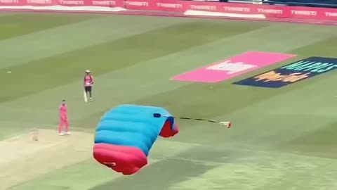 Umpire landing in match