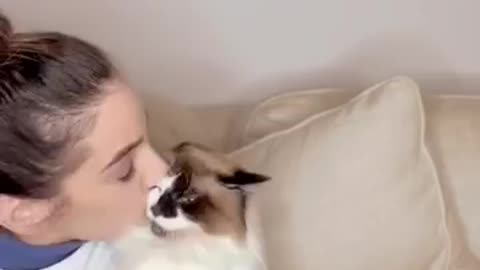 MY CAT HAS THE FUNNIEST REACTION WHEN I KISS HER
