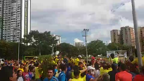 Celebración gol de la selección Colombia