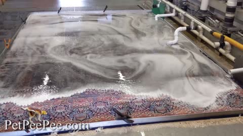 Oriental rug cleaning in a High Speed