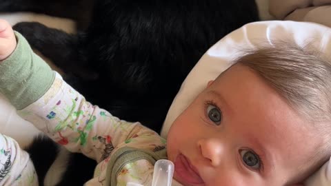 Cat Gets A Whiff of Baby's Blow Out