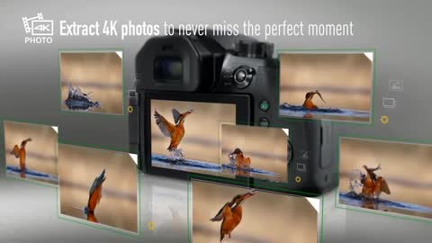 Panasonic LUMIX FZ300 Long Zoom Digital Camera- AMAZON'S CHOICE
