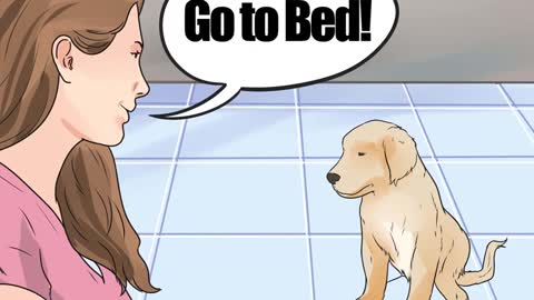 Encourage Your Dog to Sleep in Your Bed | Sleep with your dog each night.