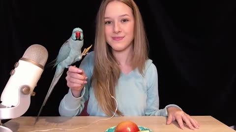 ASMR but with my bird