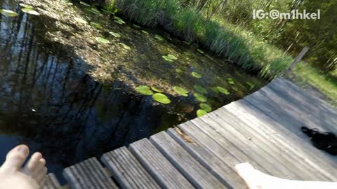 Guy does back flip on falls into lake