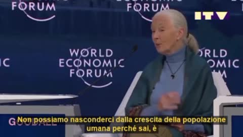 Jane Goodall (WEF): "Non possiamo nascondere la crescita dalla popolazione umana.