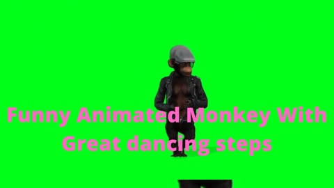 Funny Monkey With Great Dancing Skills