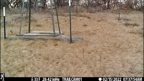 New Browning Game Cam 2-14-15-2022