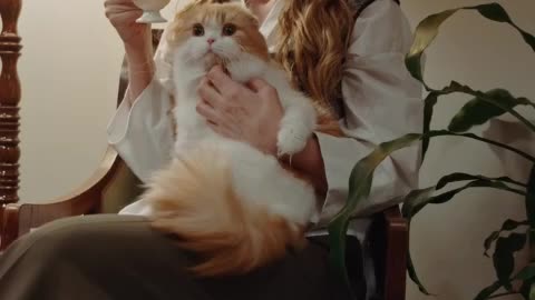 A Woman Having Tea With A Cat On Her Lap