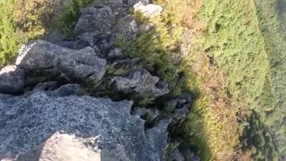 Rare video] Bear attacks climber / I was attacked by a bear while climbing