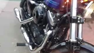 Harley Sportster 48 2019