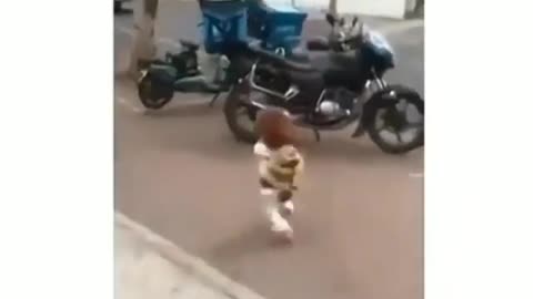 Hilarious Dog running and dancing in the street