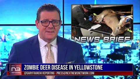 Zombie Deer Disease Hits Yellowstone, Humans Next?