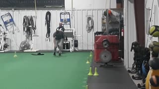 Sprint Training