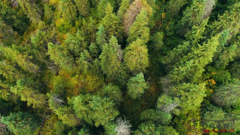 Alaska, USA