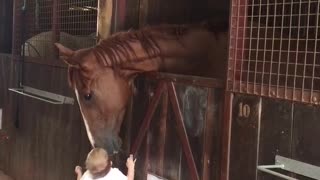 Little Girl Greets Horse Friends Every Morning