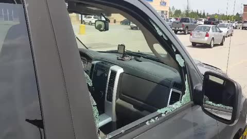 Dog Gets Rescued From A Hot Car