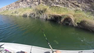 Bass Fishing Colorado River