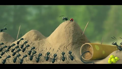 red ants vs black ants