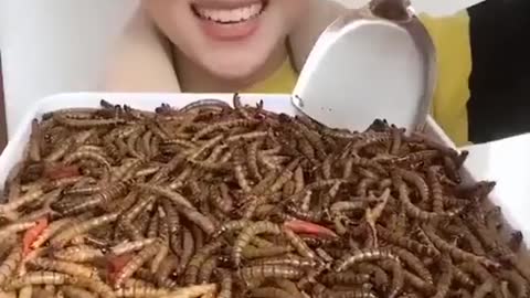 Chica Asiática Comiendo Animales Crudos