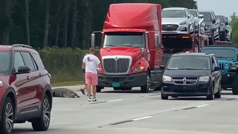 Large Gator on Perry Georgia Interstate