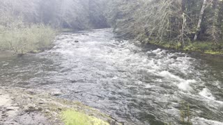 Excellent River Shoreline Trail & Views – Salmon River – Mount Hood – 4K