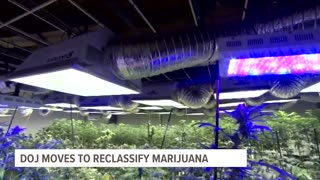 DOJ formally moves to reclassify marijuana