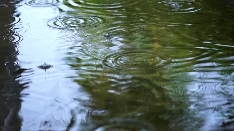 Rain falling on the water of a lake seen up