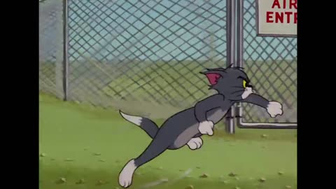 Tom & Jerry10