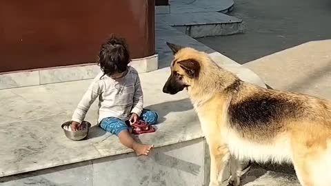 Kid Loves to 🥝 share there food 🐶 Strong Bonding